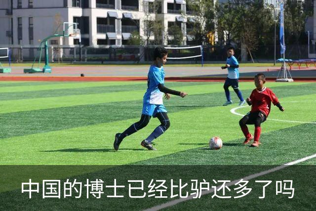 中国的博士已经比驴还多了吗