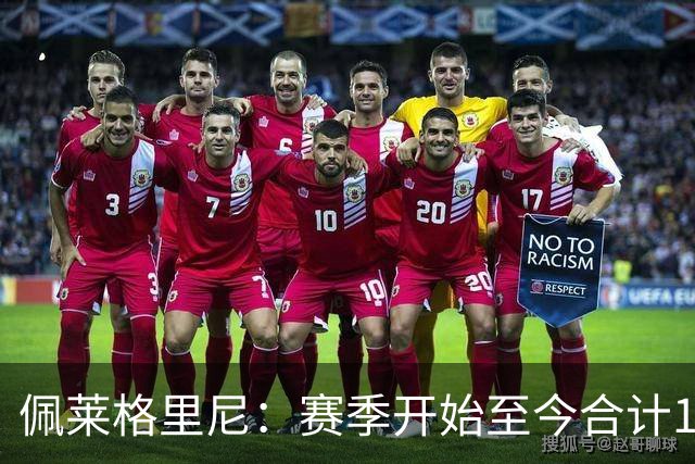 佩莱格里尼：赛季开始至今合计18分，我们拿到15分并不容易
