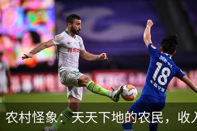 农村怪象：天天下地的农民，收入不如五保低保户？差距从何而来