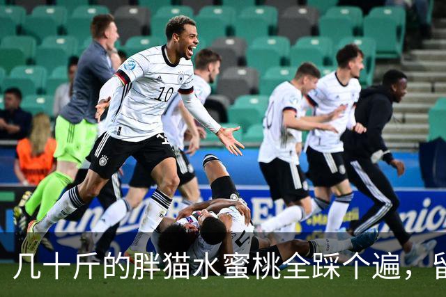 几十斤的胖猫水蜜桃全踩个遍，留下猫脚印，主人：踩桃比踩我还痛！