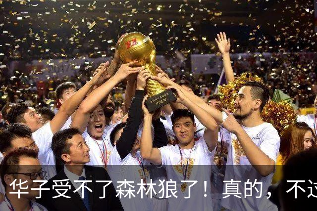 华子受不了森林狼了！真的，不过好像确实也是