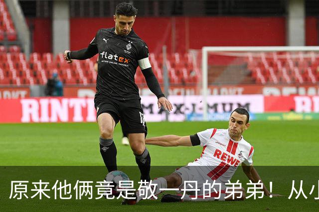 原来他俩竟是敬一丹的弟弟！从小被姐姐一手带大，如今已身居高位