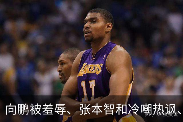 向鹏被羞辱、张本智和冷嘲热讽、温瑞博彻夜难眠 难怪樊振东去德