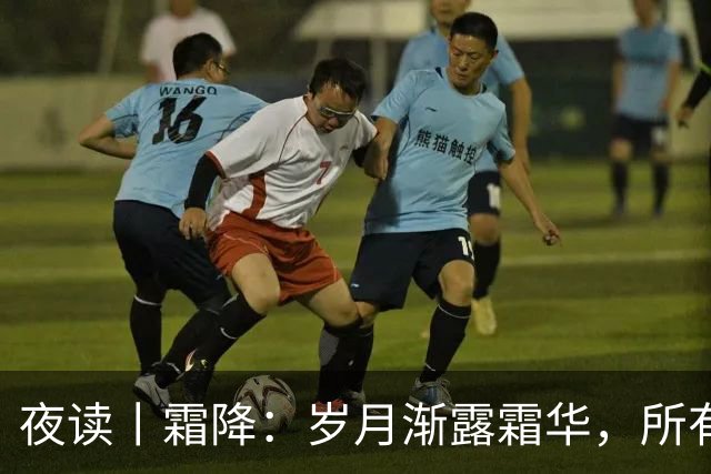 夜读丨霜降：岁月渐露霜华，所有期待终将抵达