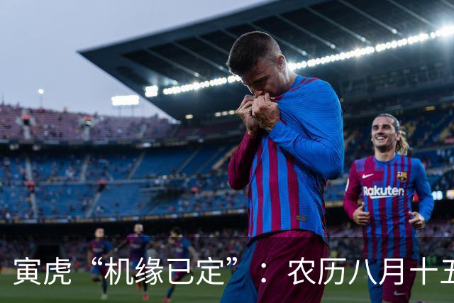寅虎“机缘已定”：农历八月十五，周五，生活将迎来一次大洗牌