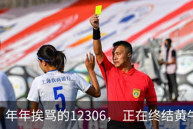 年年挨骂的12306， 正在终结黄牛时代