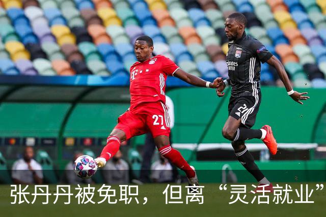 张丹丹被免职，但离“灵活就业”还远着呢