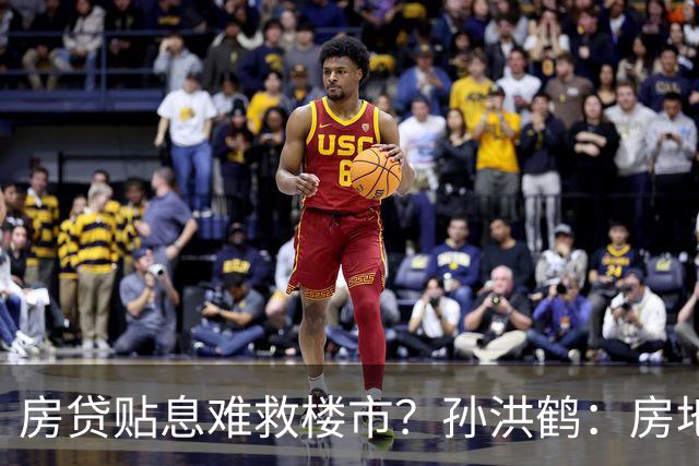房贷贴息难救楼市？孙洪鹤：房地产现状，一半要归因网红直播电商