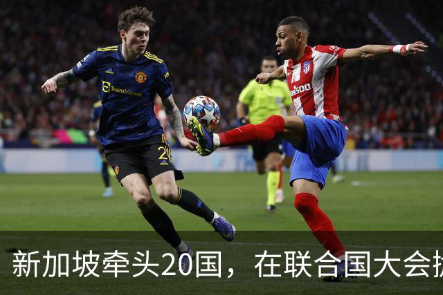 新加坡牵头20国，在联合国大会抛出提案，想给中美AI“立规矩”？