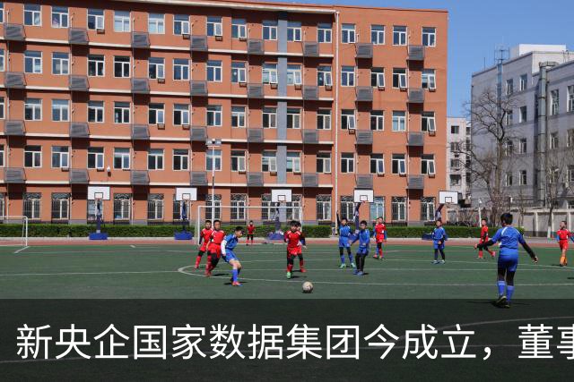 新央企国家数据集团今成立，董事长、总经理亮相