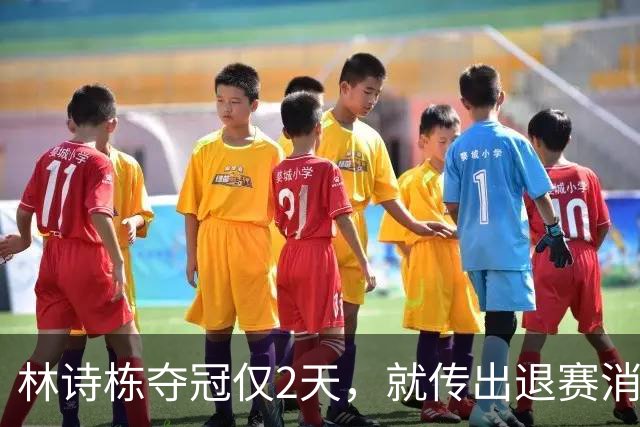 林诗栋夺冠仅2天，就传出退赛消息，原来他正在走全红婵的老路