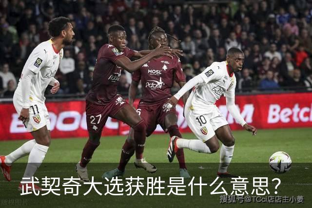 武契奇大选获胜是什么意思？