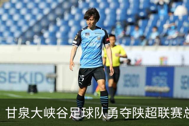 甘泉大峡谷足球队勇夺陕超联赛总冠军