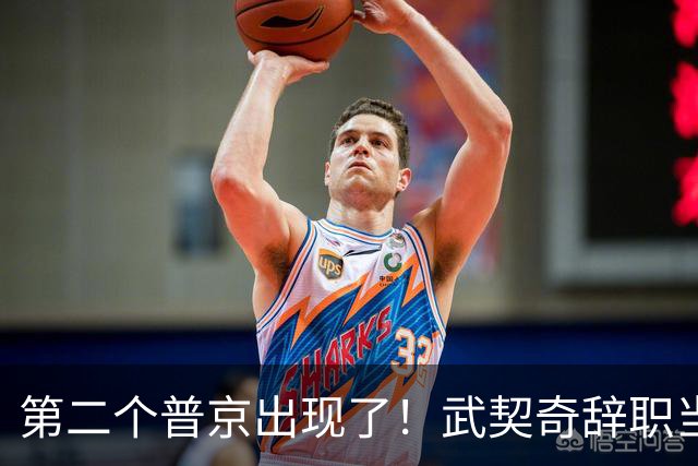 第二个普京出现了！武契奇辞职当天，两度提及中国并许下重磅承诺