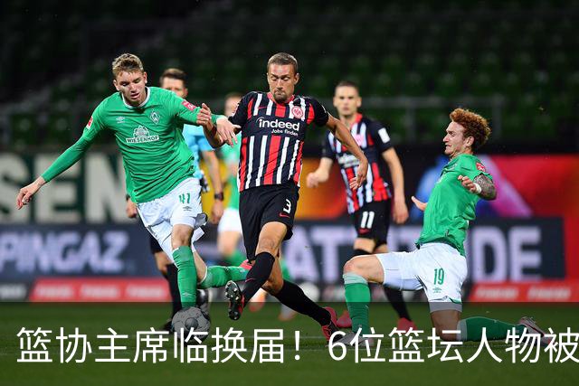 篮协主席临换届！6位篮坛人物被反复提起，资历硬实力得一条条看