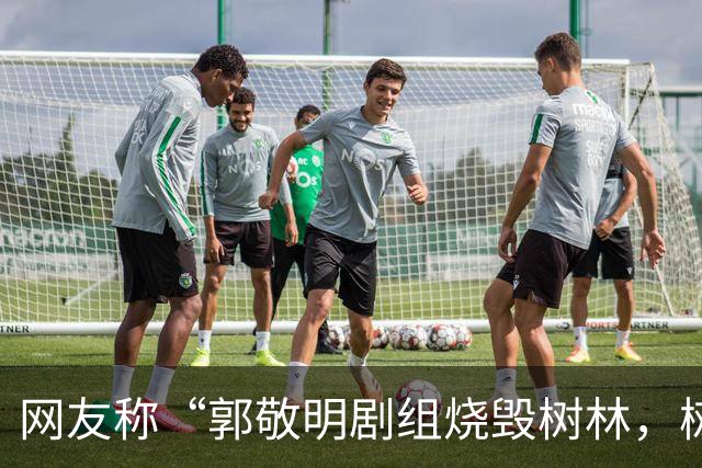 网友称“郭敬明剧组烧毁树林，树干呈黑灰色、倒塌在地”，当地回应：政府全程监管，相关画面是布景，剧组没有破坏生态
