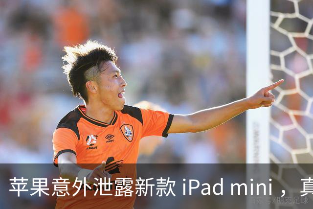 苹果意外泄露新款 iPad mini ，真可能搭载高刷屏幕！