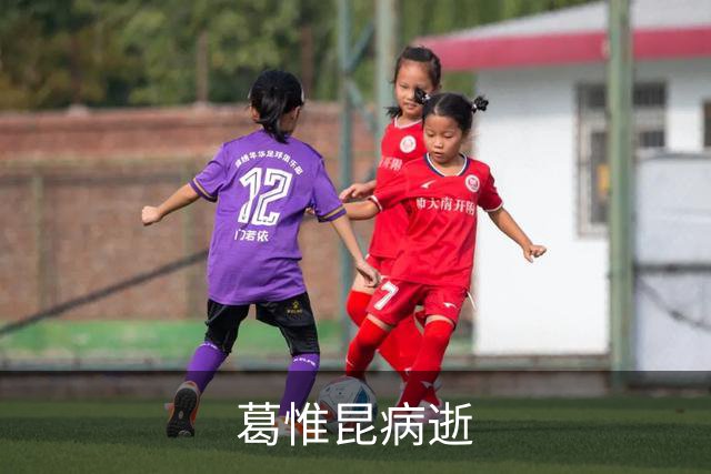 葛惟昆病逝
