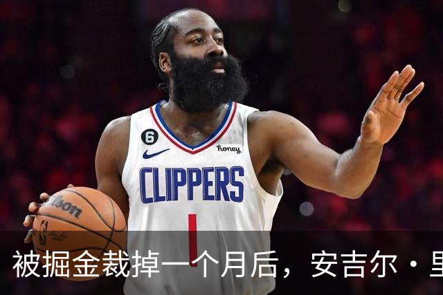 被掘金裁掉一个月后，安吉尔·里斯的弟弟签下鹈鹕双向合同
