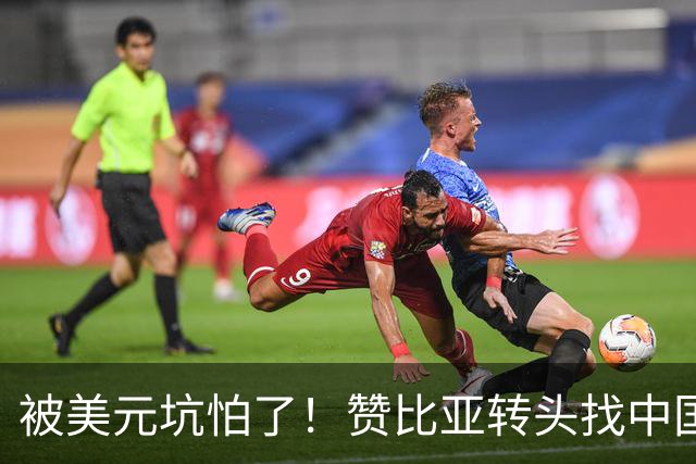 被美元坑怕了！赞比亚转头找中国：铜矿换人民币，这买卖划算！