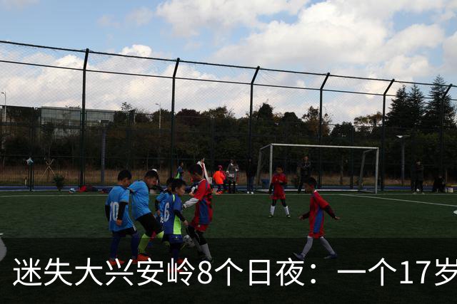 迷失大兴安岭8个日夜：一个17岁松塔少年的森林求生