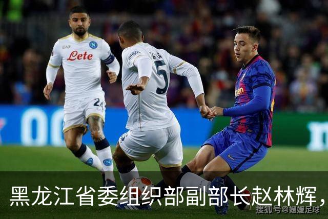 黑龙江省委组织部副部长赵林辉，拟任省直机关正厅级领导职务；鸡西市副市长、市公安局局长徐晓利，拟提名为副省级城市副市长人选