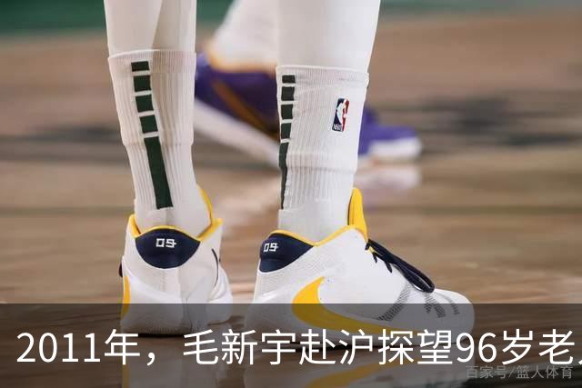 2011年，毛新宇赴沪探望96岁老人，因此，一段隐藏76年的秘密公开
