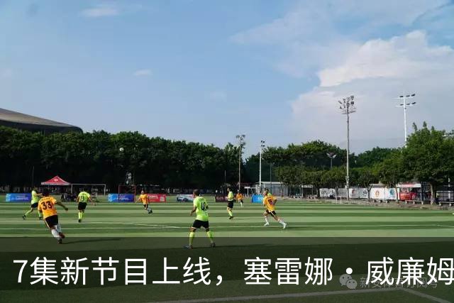 7集新节目上线，塞雷娜·威廉姆斯等巨星泡冰浴受访
