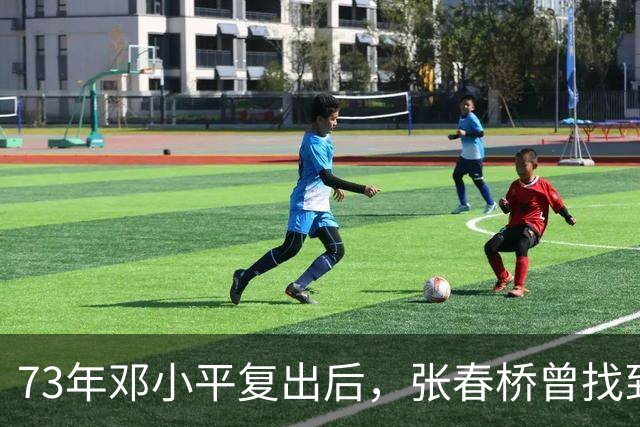 73年邓小平复出后，张春桥曾找到康生问：康老，67年讲话稿还在吗？