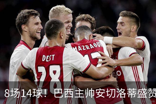 8场14球！巴西主帅安切洛蒂盛赞拉菲尼亚